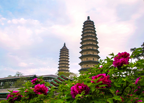 牡丹影双塔--李红_副本.jpg