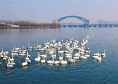 cover_img_16466471602910_副本.jpg