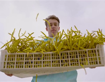 Deep in Shanxi with Rees: tiny flower and great industry – a daylily-exploring trip