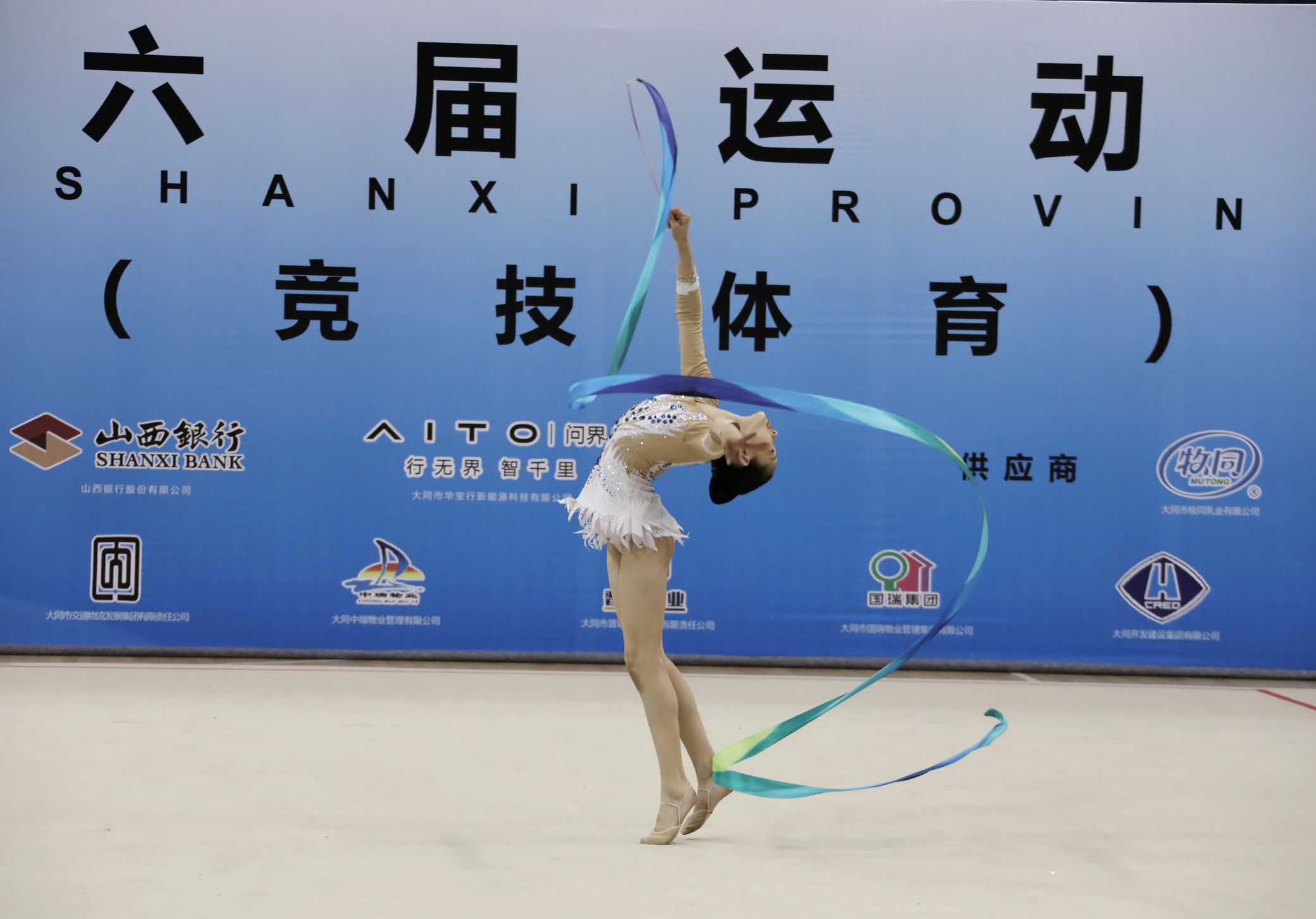 Young gymnasts shine at provincial games