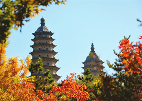 W020231030236005628016_副本.jpg