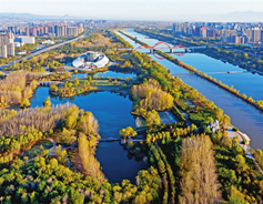 W020231114224294050850_副本.jpg