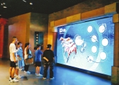 2409063098ek.jpg