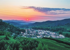 05085823pwvm.jpg