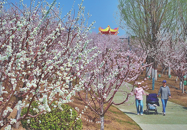 山西赏花_副本.jpg