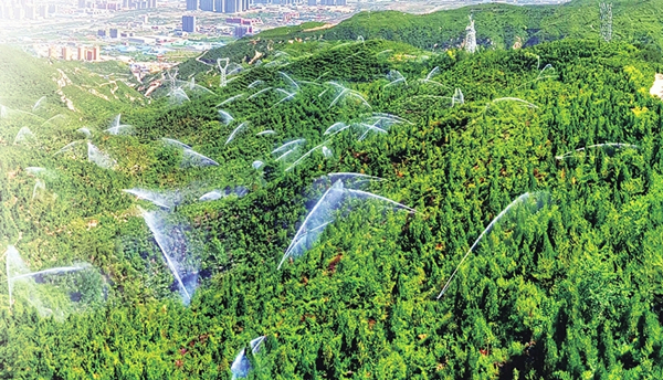 黄河生态1_副本.jpg