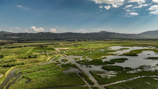 Datong advances biodiversity conservation