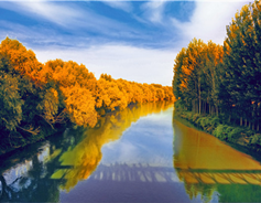 f80f41af27ee215e5c6210_副本.png