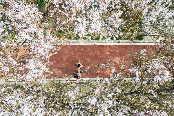 桃河公园.webp_副本.png
